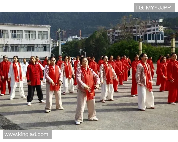 沾化区2025年功夫、健身气功、太极拳联席会满意闭幕